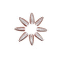Press On Nails Kit